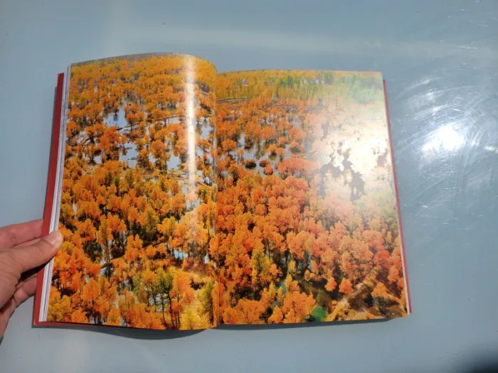 Livre 🌳 Sacrés Arbre🌴 Michel Beauvais (92) - photo numéro 3