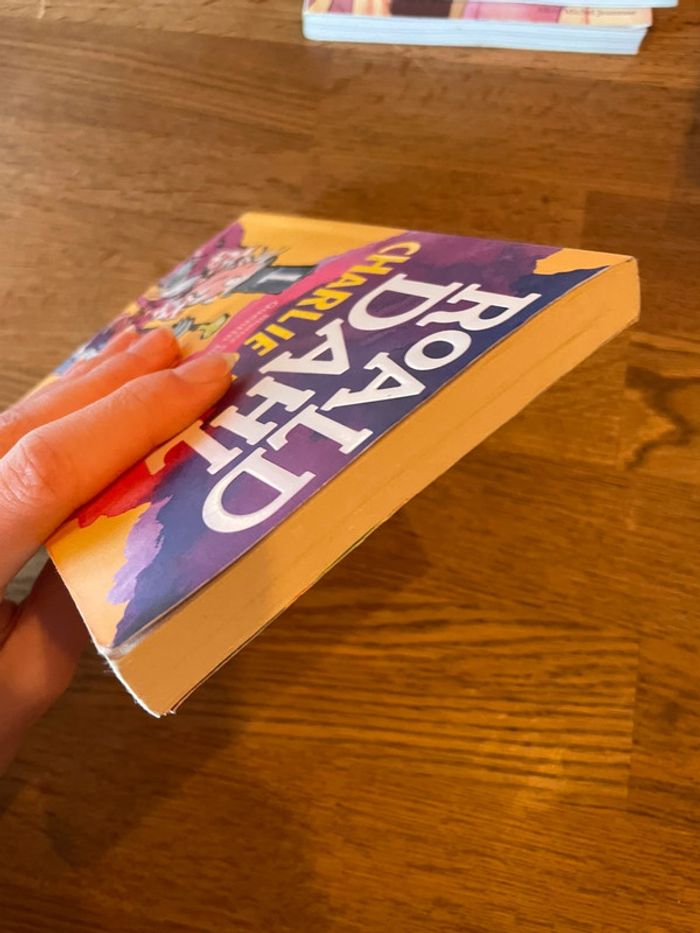 Livre Ronald Dahl Charlie et la chocolaterie  Folio Junior - photo numéro 5