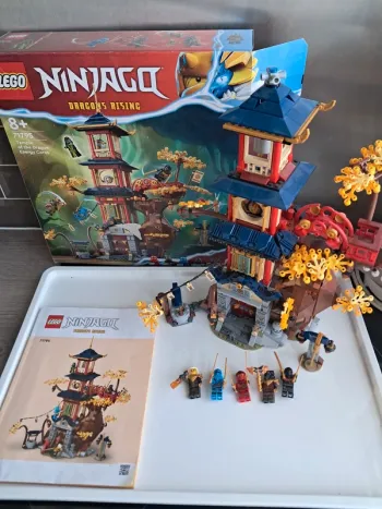 Lego Ninjago 71795