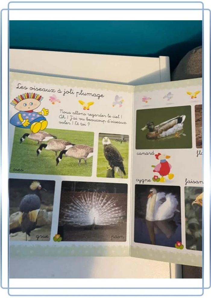 Livre dictionnaire des animaux - photo numéro 4