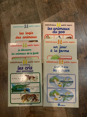 Lot bibliothèque Petits lapins