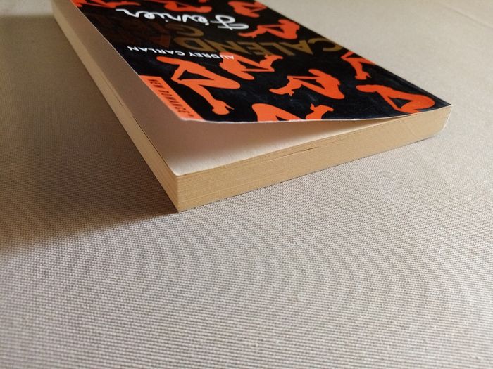 Livre New Romance (Février) - photo numéro 7
