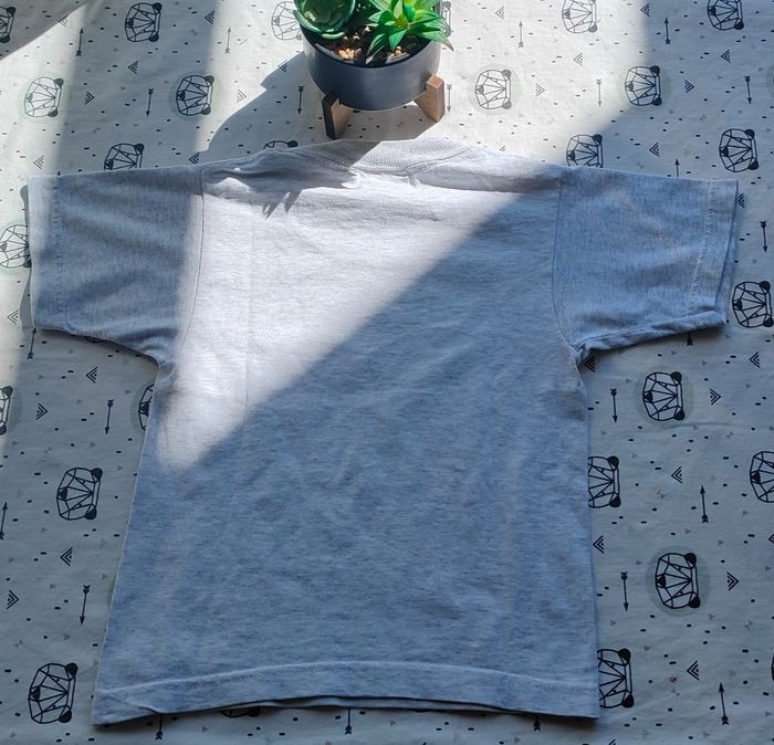Lot de tee-shirt taille 2/4 ans - photo numéro 10