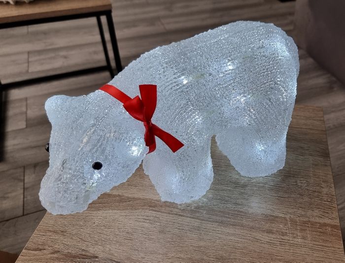 Ours lumineux - photo numéro 5