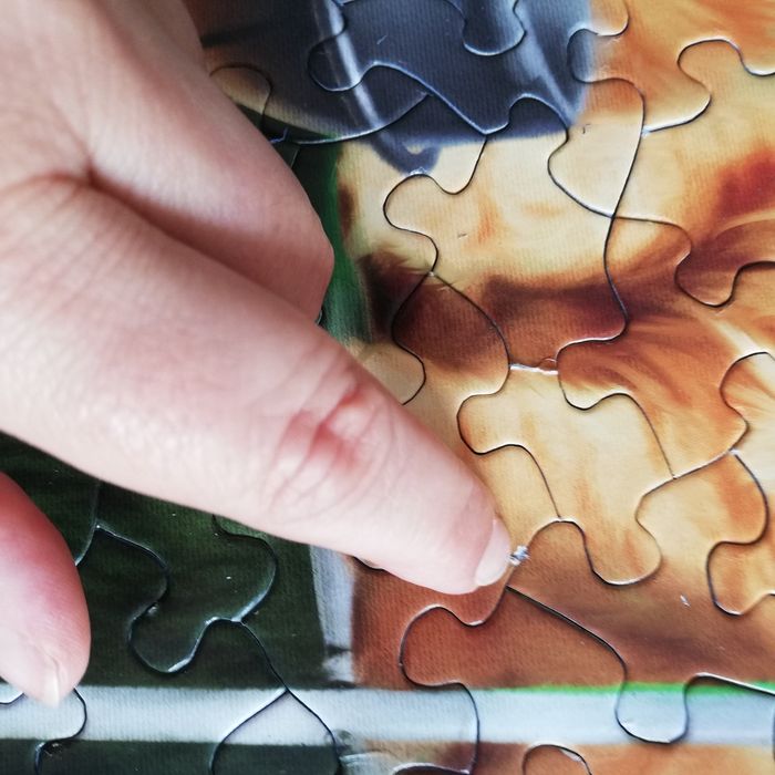 Puzzle 300 pieces XL. Sunsout. Dd1131 - photo numéro 8