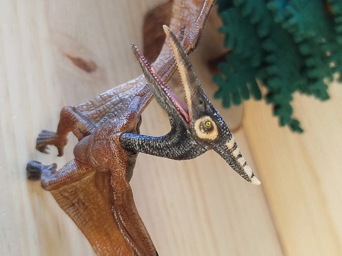 Papo Dinosaure Pteranodon Figurine animal préhistorique - photo numéro 3