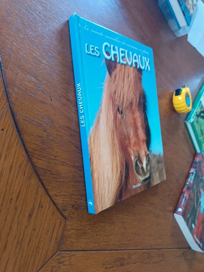 Les chevaux - photo numéro 7