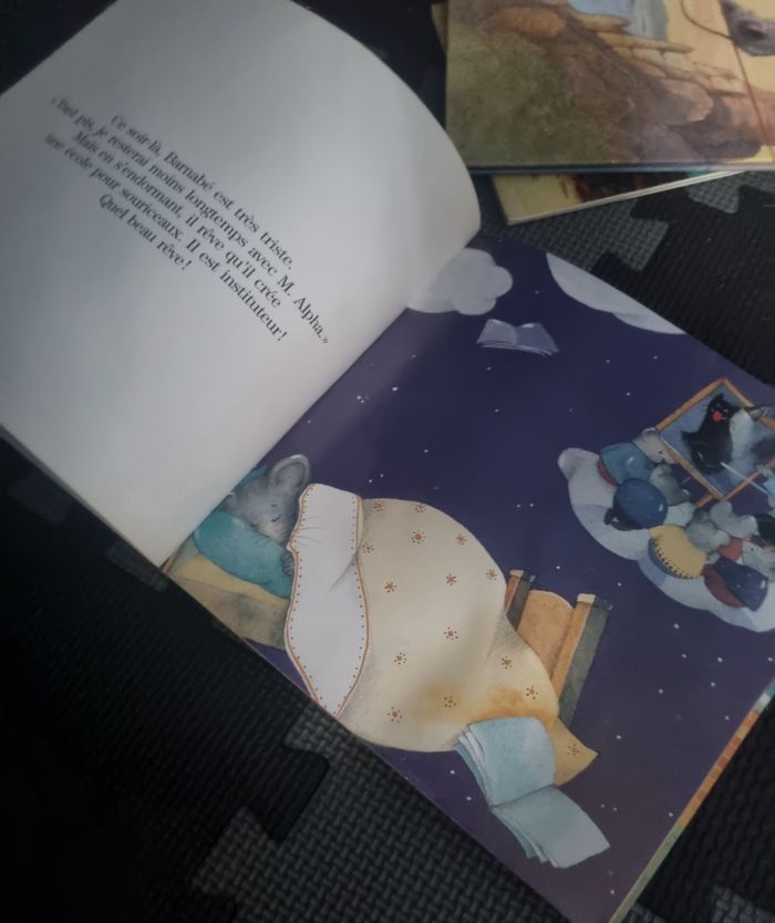 Livre enfant (Barnabé veut lire !) Dès 5ans - photo numéro 9