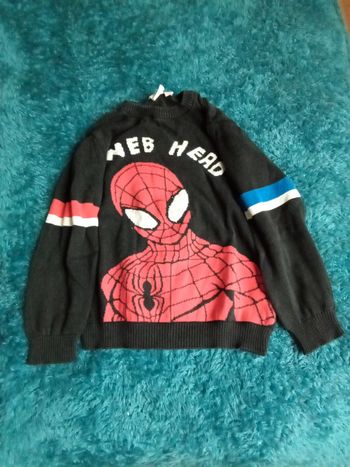 Pull laine Spiderman Orchestra 6ans