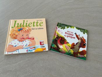 lot de deux livres comme neuf