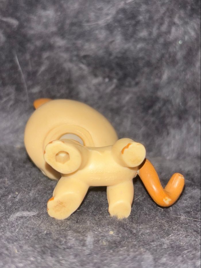 chat européen #1023 - photo numéro 3