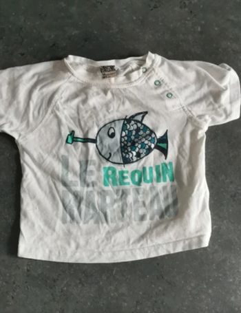 Tee-shirt garçon 18 mois.