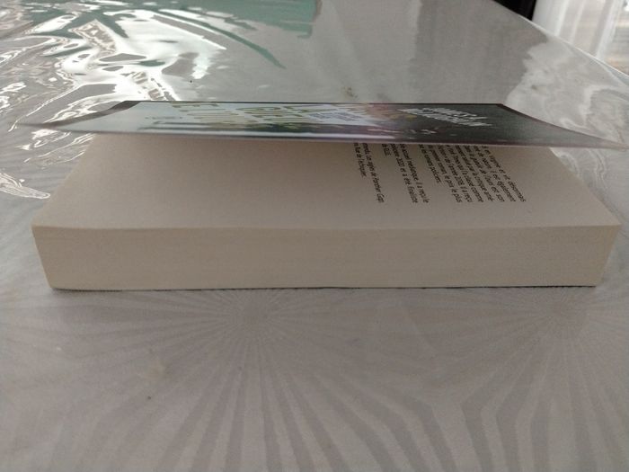 Roman - photo numéro 3