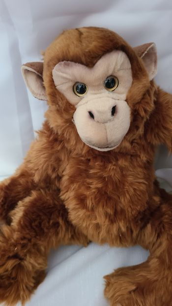 peluche singe playkids