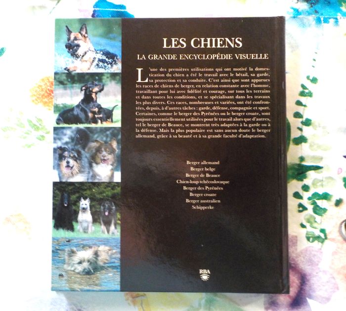 CHIENS DE BERGER Les chiens La grande encyclopédie visuelle - photo numéro 4