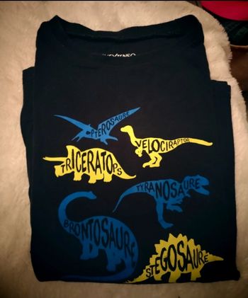 Haut manches longues dinausaures comme neuf