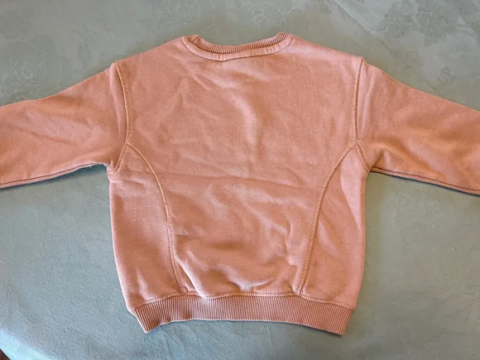 Sweat Zara Bebe garçon - 9/12 mois - photo numéro 4
