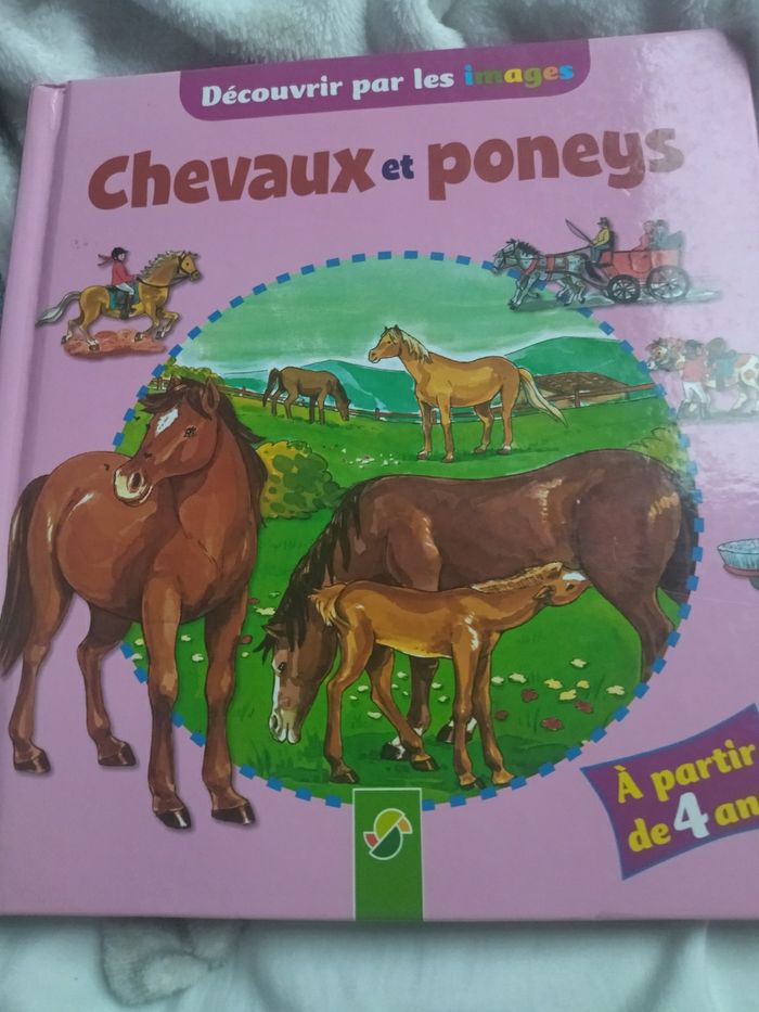Chevaux et poneys