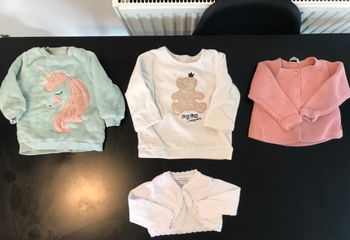 Lot de 10 pulls/gilets