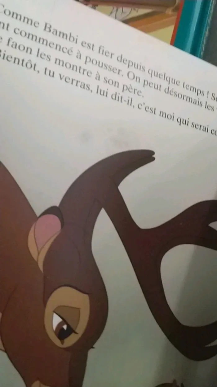 Lot de livres Disney - photo numéro 9