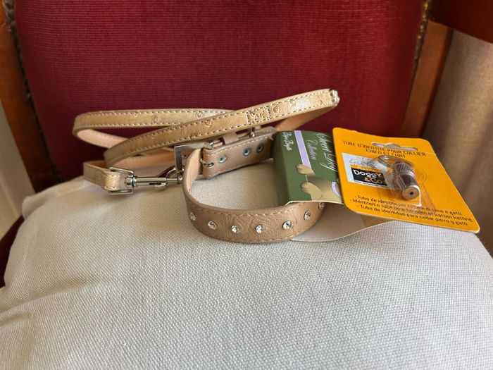 Ensemble accessoires chien