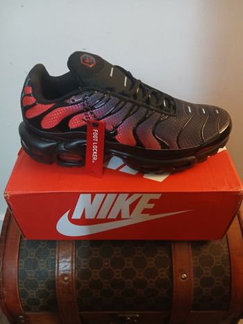 Basket Nike tn