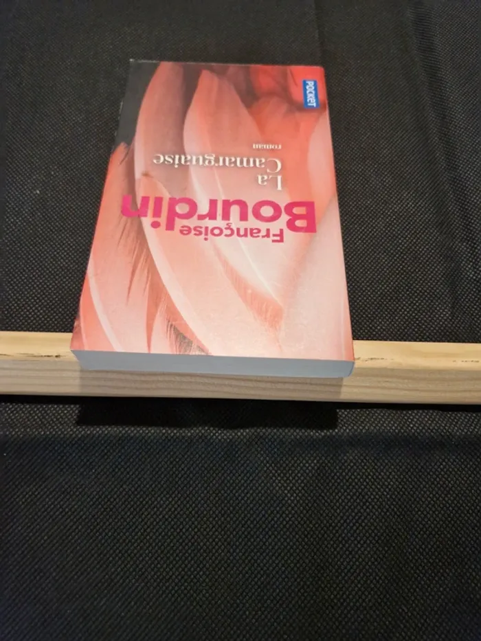 La Camarguaise - Françoise Bourdin - photo numéro 4