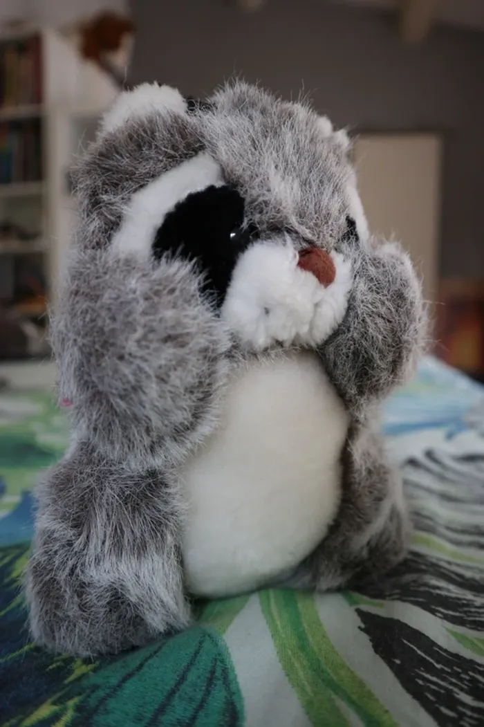 Peluche raton laveur - photo numéro 2