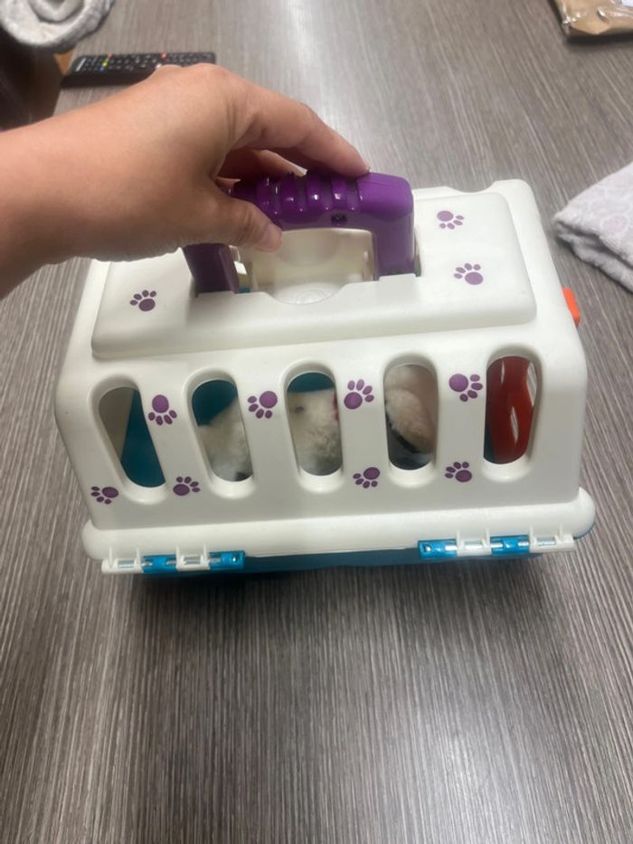 Cage et chien - photo numéro 5