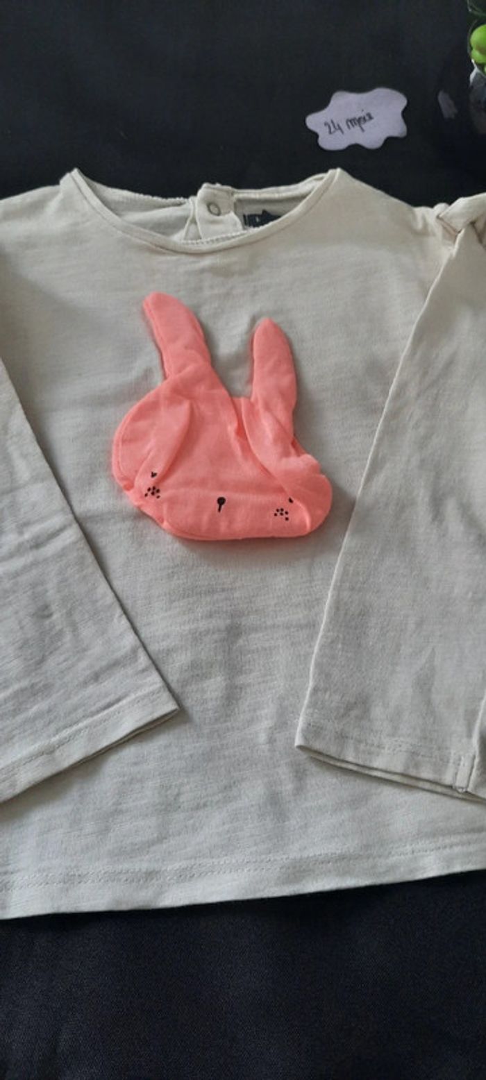 2 t-shirts 24mois - photo numéro 2