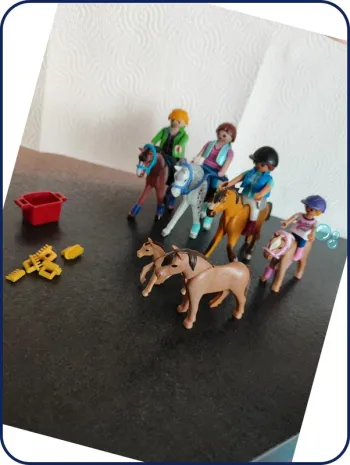 Lot chevaux et cavalier playmobil