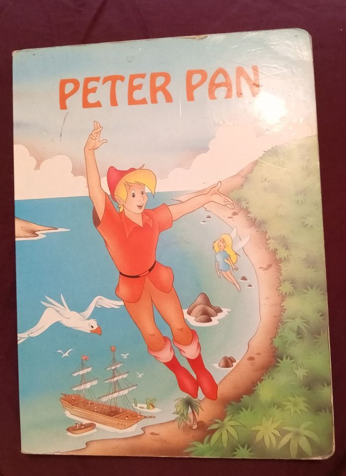 Livre Peter Pan - photo numéro 1
