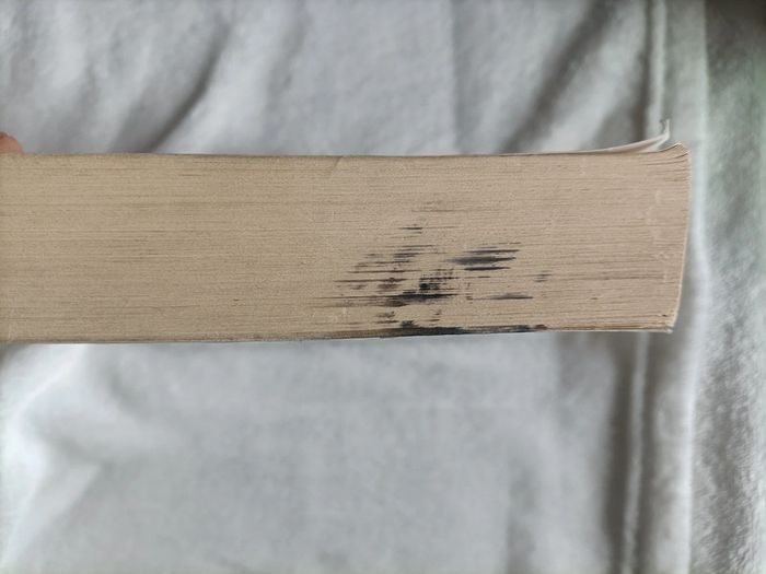 Les 100 – Kass Morgan - photo numéro 3