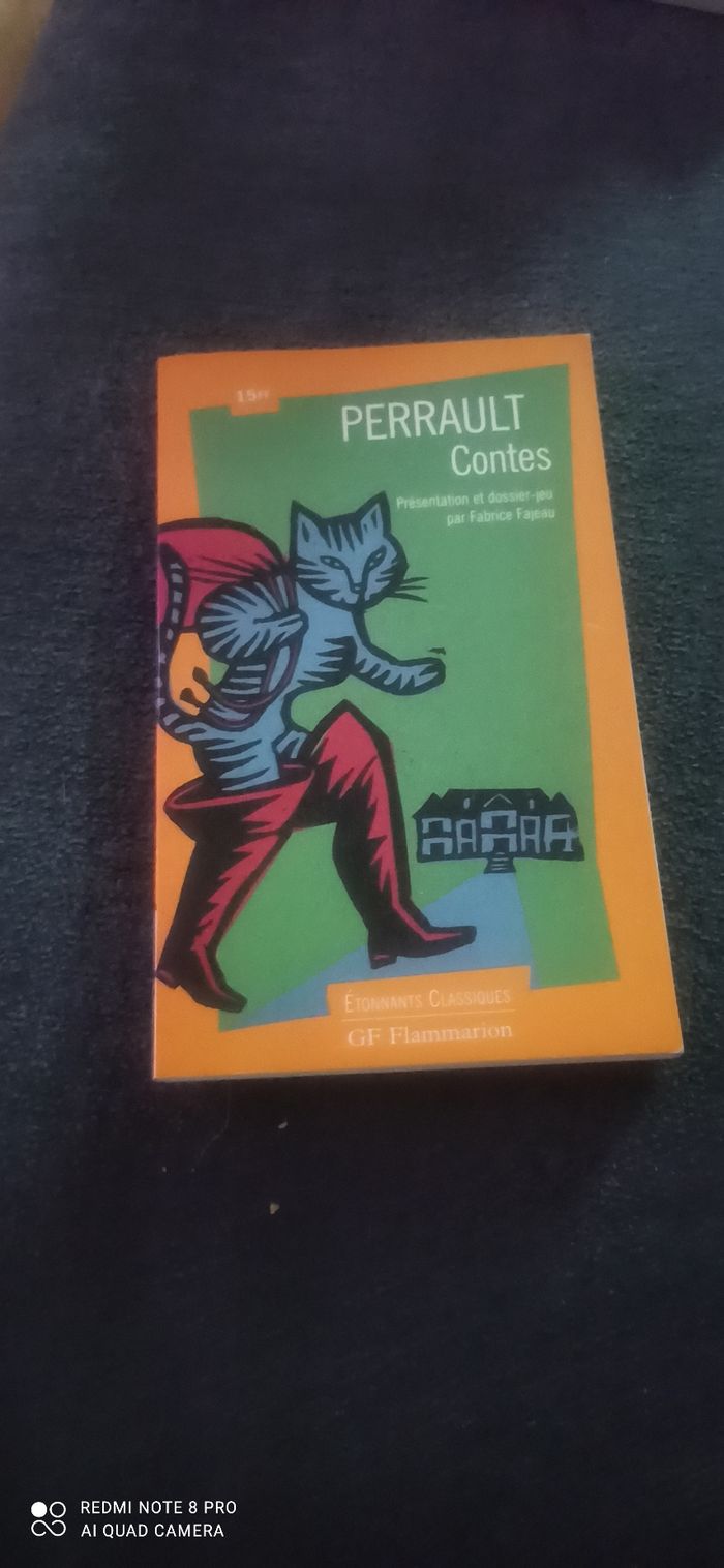 Livre contes Perrault