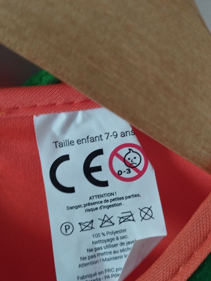 Déguisement citrouille - photo numéro 5