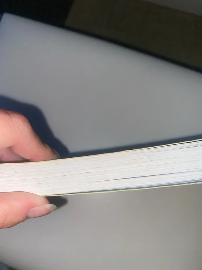 Le carnet d’Allie - photo numéro 4
