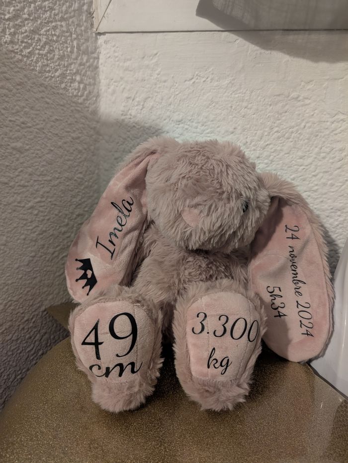 Lapin naissance - photo numéro 4