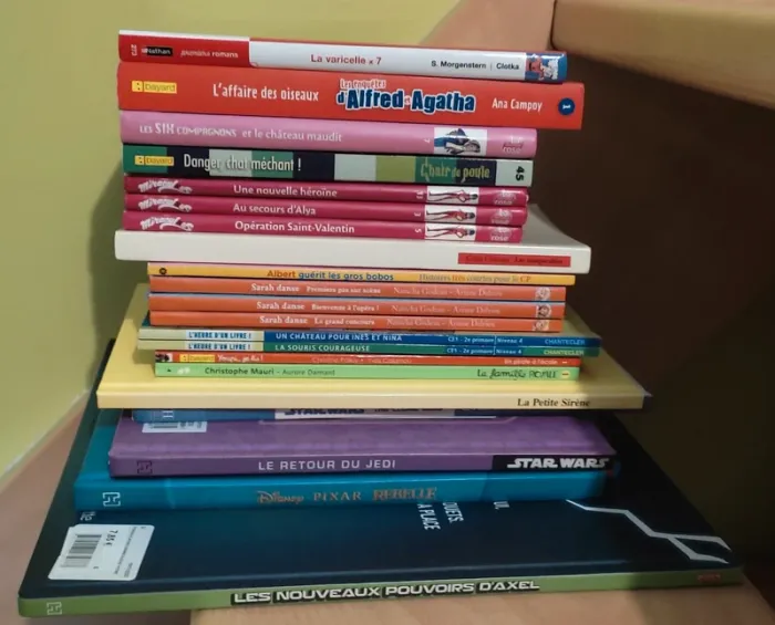 Lot 21 livres pour enfants dès 6 ans