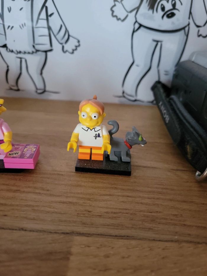 Lego the simpson garçon école avec chat