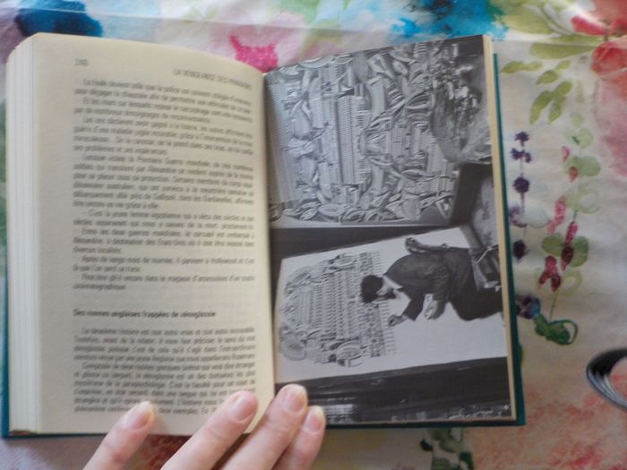 LA VENGEANCE DES PHARAONS de Yves NAUD Ed. Famot - photo numéro 10