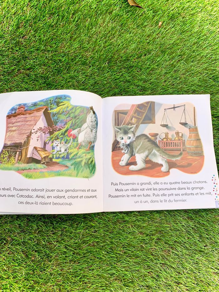 Livre pour enfant : Cotcodac et pousemin - photo numéro 3