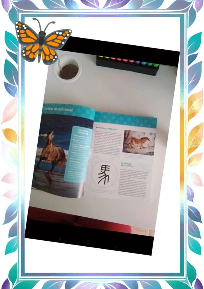 Au galop - photo numéro 3