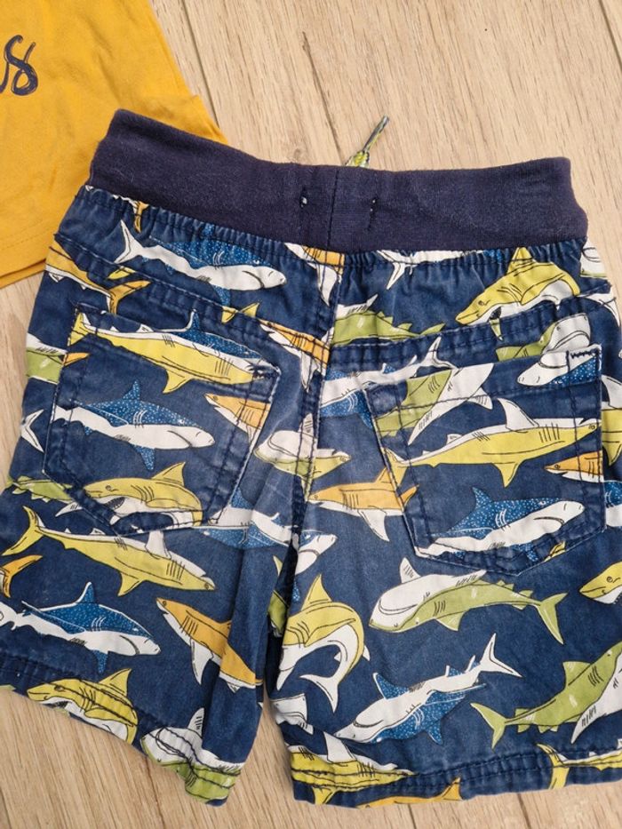 Ensemble capitaine et requin 🦈 - photo numéro 7