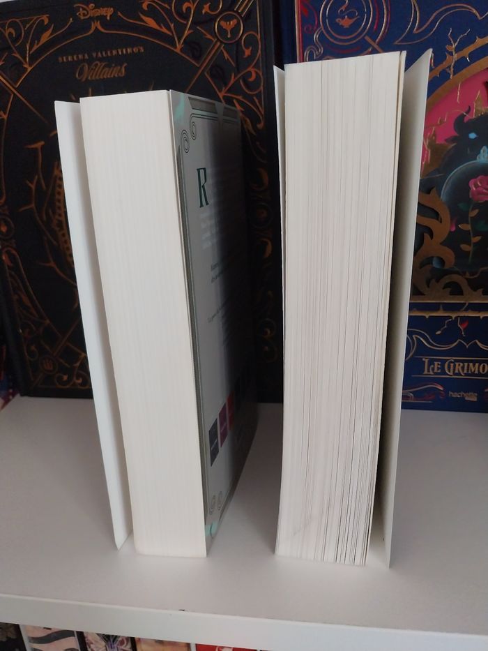 Romans Keleana tomes 0 et 1 La Lame de l'Assassineuse- Sarah J. Maas La Martinière - photo numéro 5