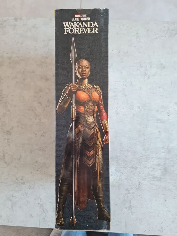Okoye - photo numéro 6