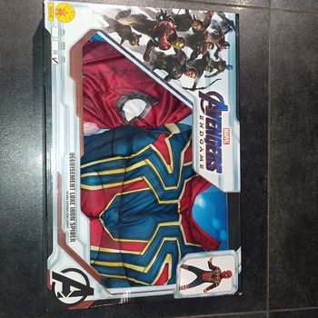 Déguisement luxe iron spider