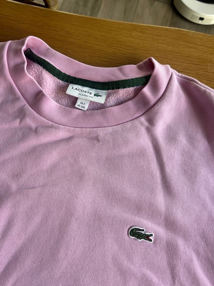 Sweat Lacoste - photo numéro 2