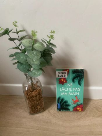 • Michel Bussi ~ Ne lâche pas ma main •