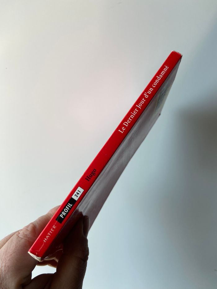 Le dernier jour d’un condamné victor hugo - photo numéro 3