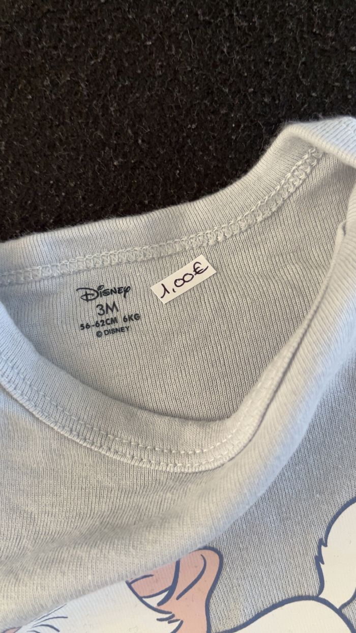 Bodie 3 mois - photo numéro 5